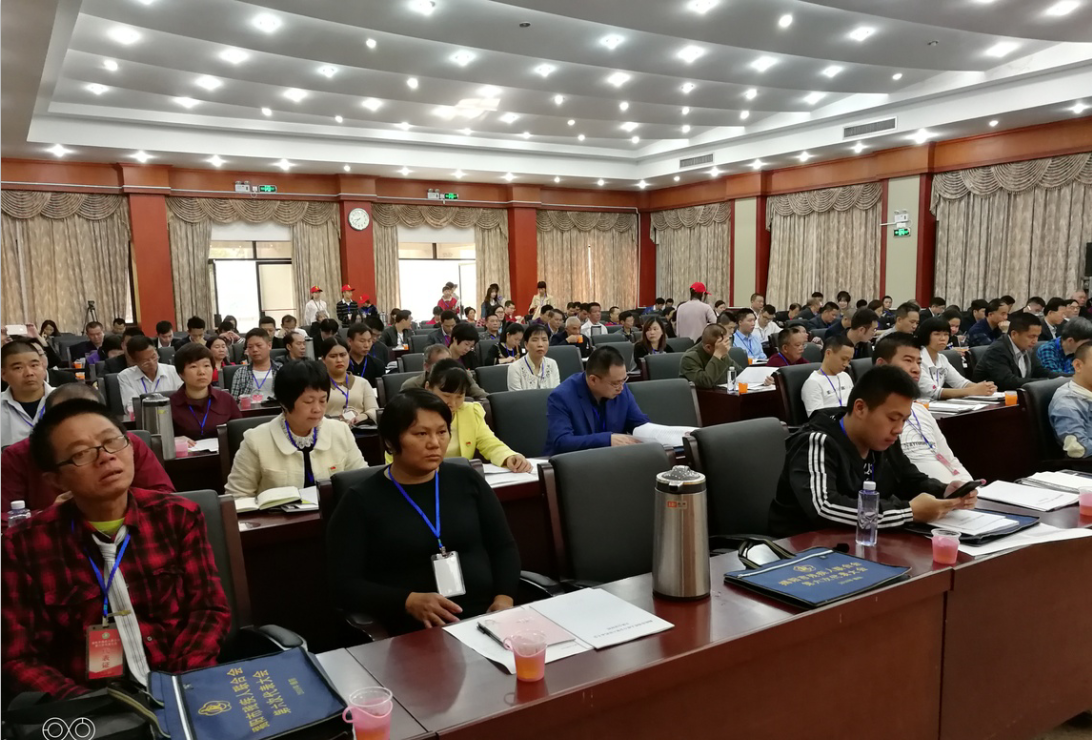 揭阳市残疾人联合会第六次代表大会胜利召开(图2)